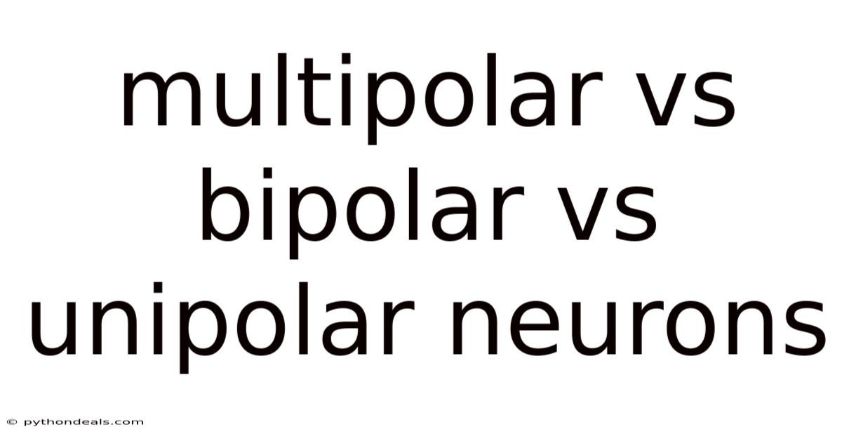 Multipolar Vs Bipolar Vs Unipolar Neurons