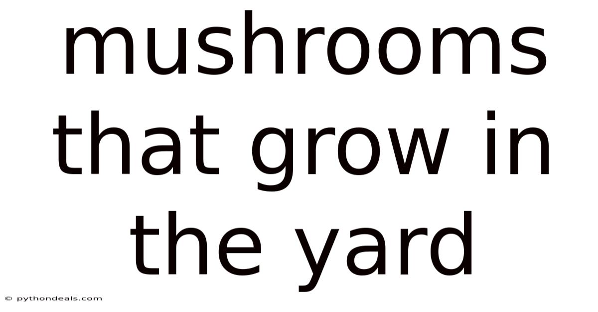 Mushrooms That Grow In The Yard