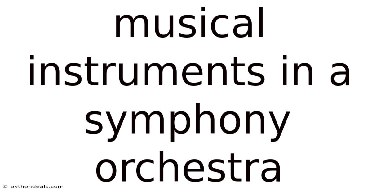 Musical Instruments In A Symphony Orchestra