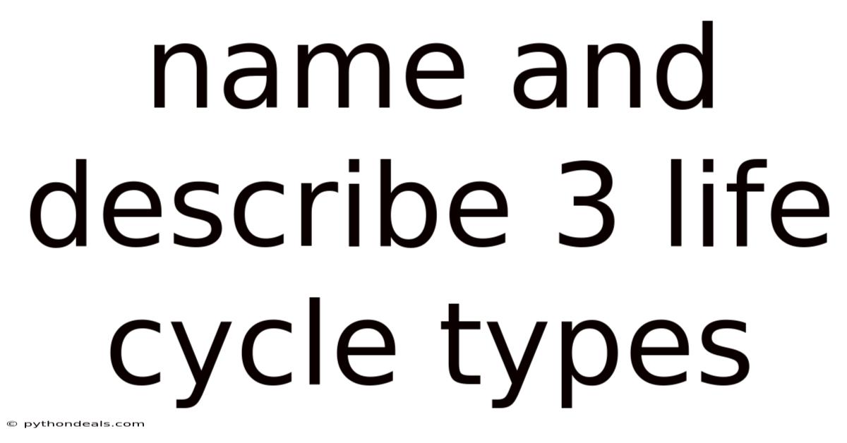 Name And Describe 3 Life Cycle Types