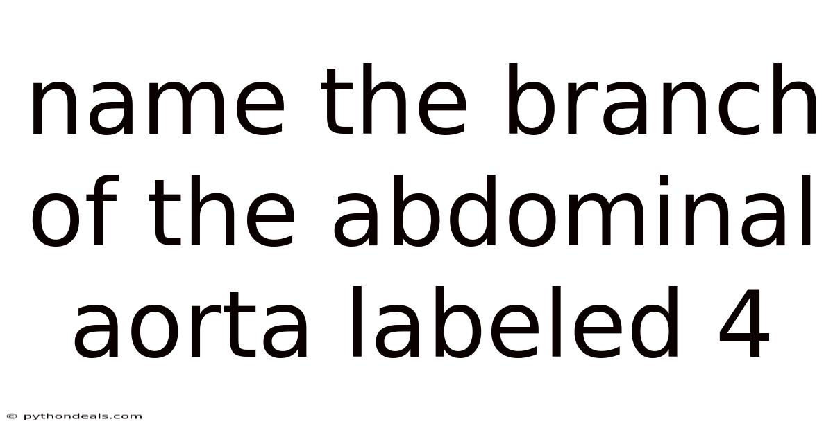 Name The Branch Of The Abdominal Aorta Labeled 4
