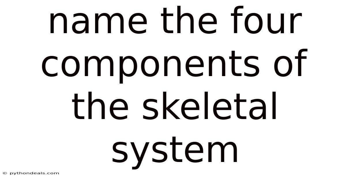 Name The Four Components Of The Skeletal System