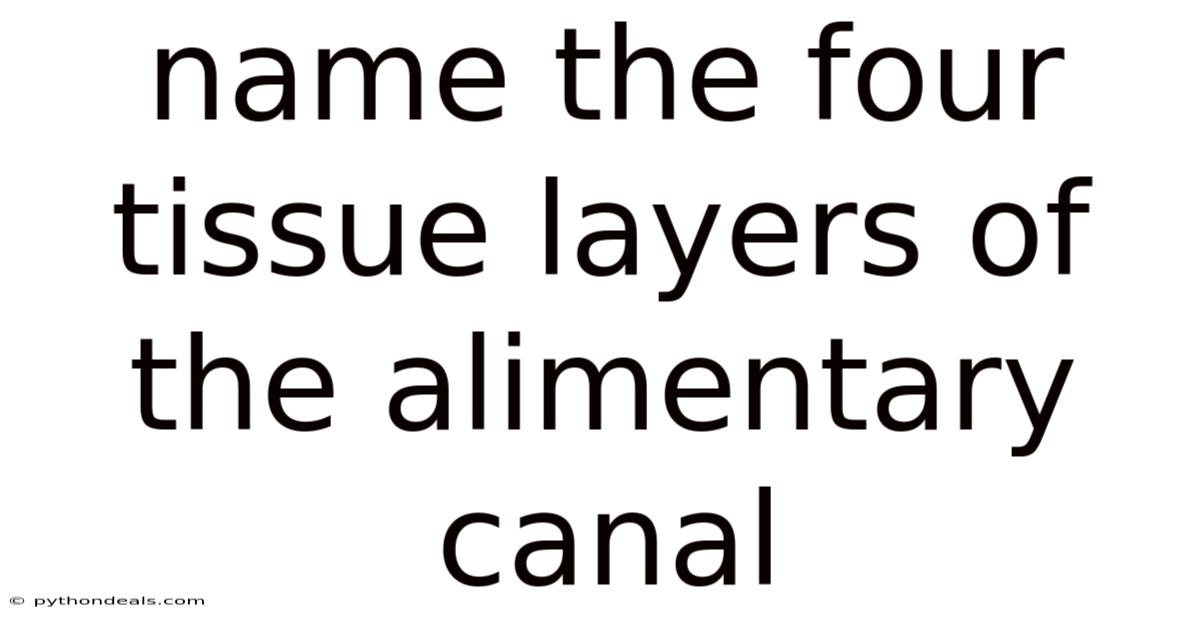 Name The Four Tissue Layers Of The Alimentary Canal