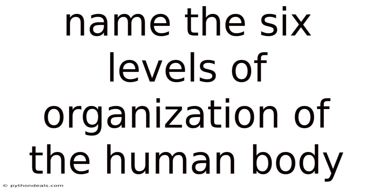 Name The Six Levels Of Organization Of The Human Body
