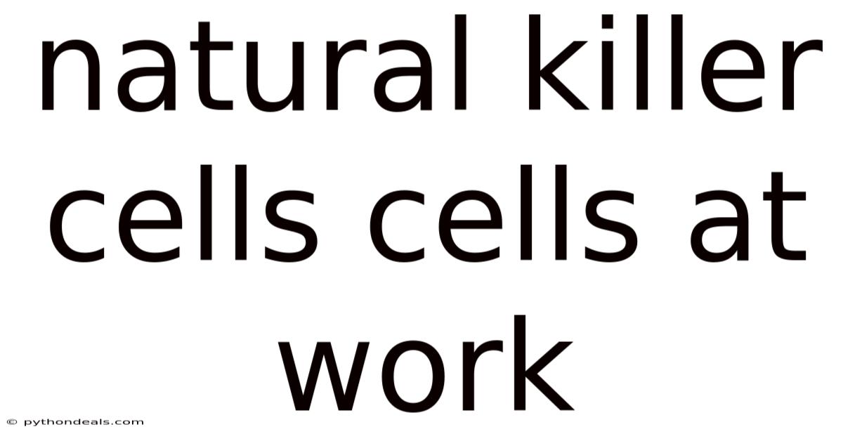 Natural Killer Cells Cells At Work