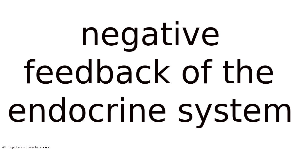 Negative Feedback Of The Endocrine System