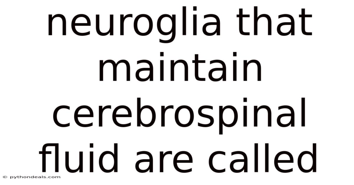Neuroglia That Maintain Cerebrospinal Fluid Are Called