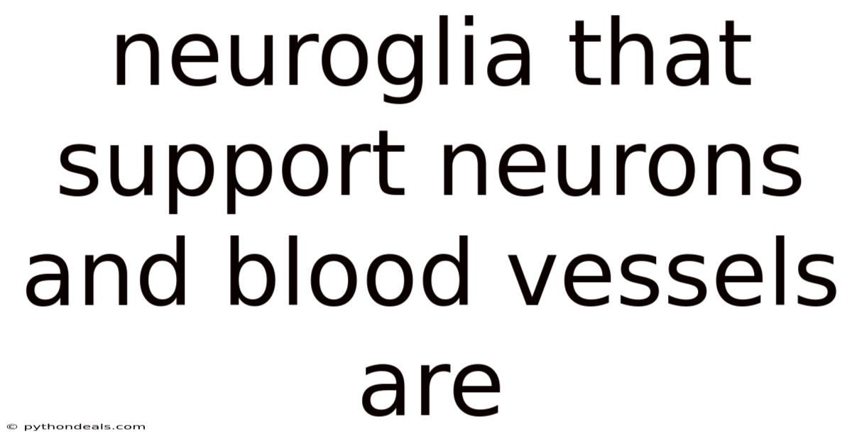 Neuroglia That Support Neurons And Blood Vessels Are