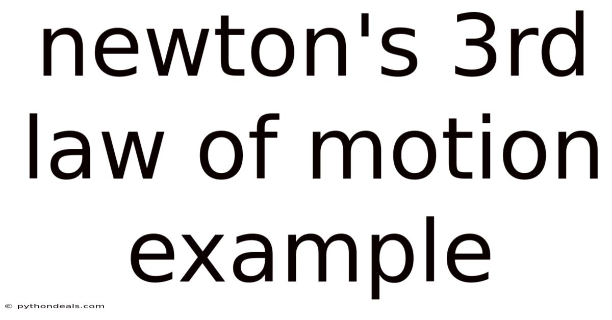 Newton's 3rd Law Of Motion Example