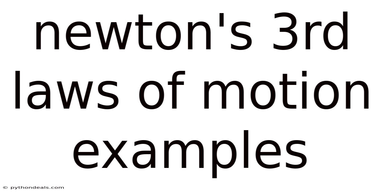 Newton's 3rd Laws Of Motion Examples