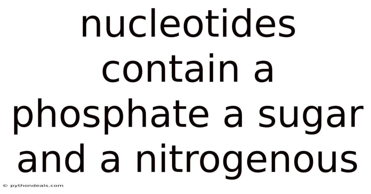 Nucleotides Contain A Phosphate A Sugar And A Nitrogenous