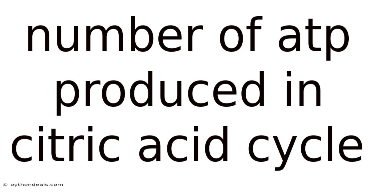 Number Of Atp Produced In Citric Acid Cycle