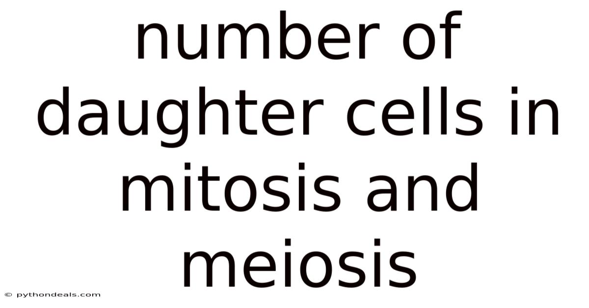 Number Of Daughter Cells In Mitosis And Meiosis