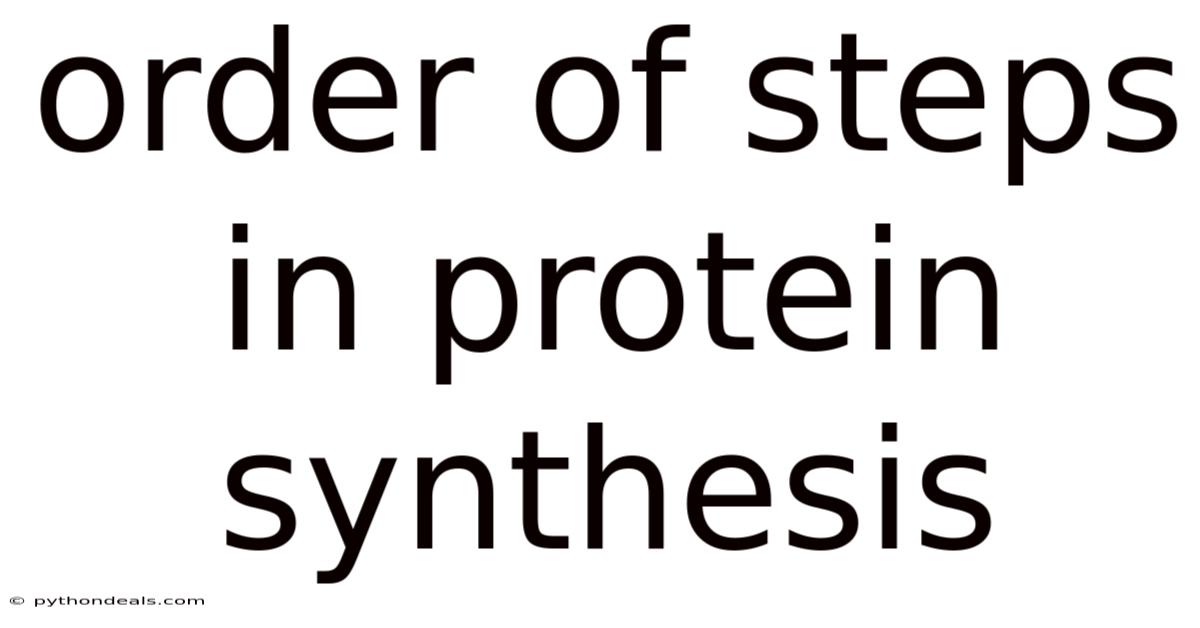 Order Of Steps In Protein Synthesis