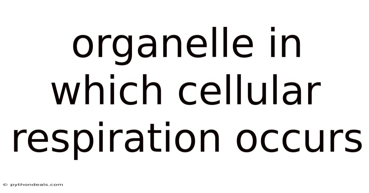 Organelle In Which Cellular Respiration Occurs