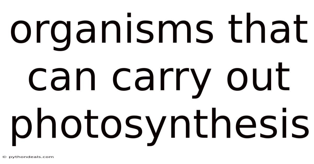Organisms That Can Carry Out Photosynthesis