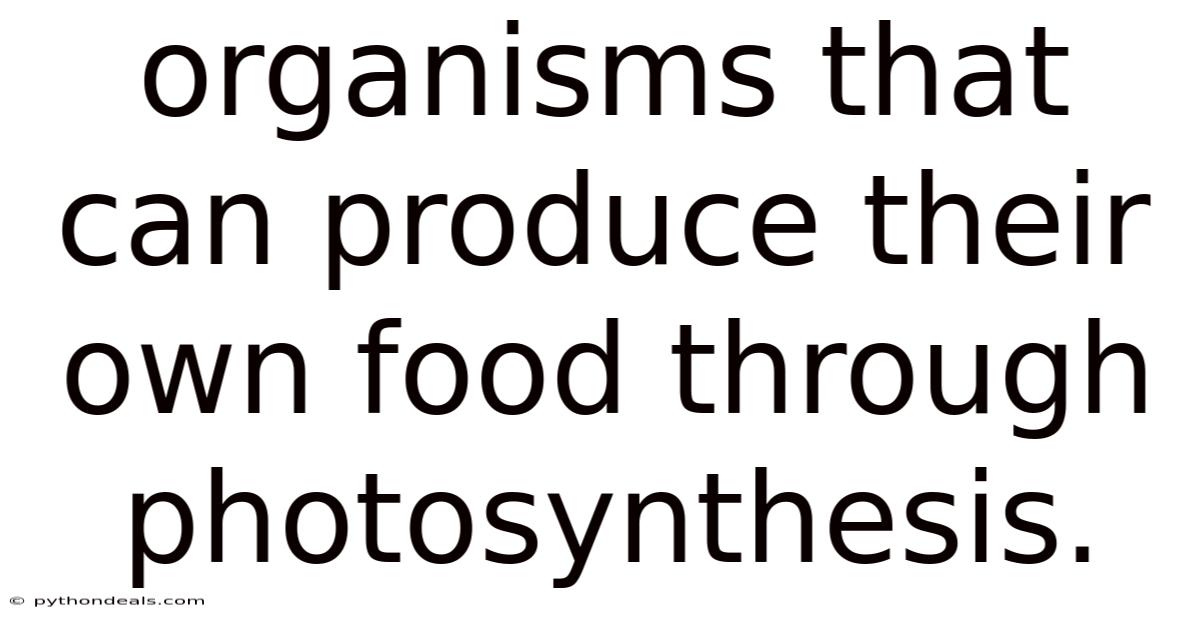 Organisms That Can Produce Their Own Food Through Photosynthesis.