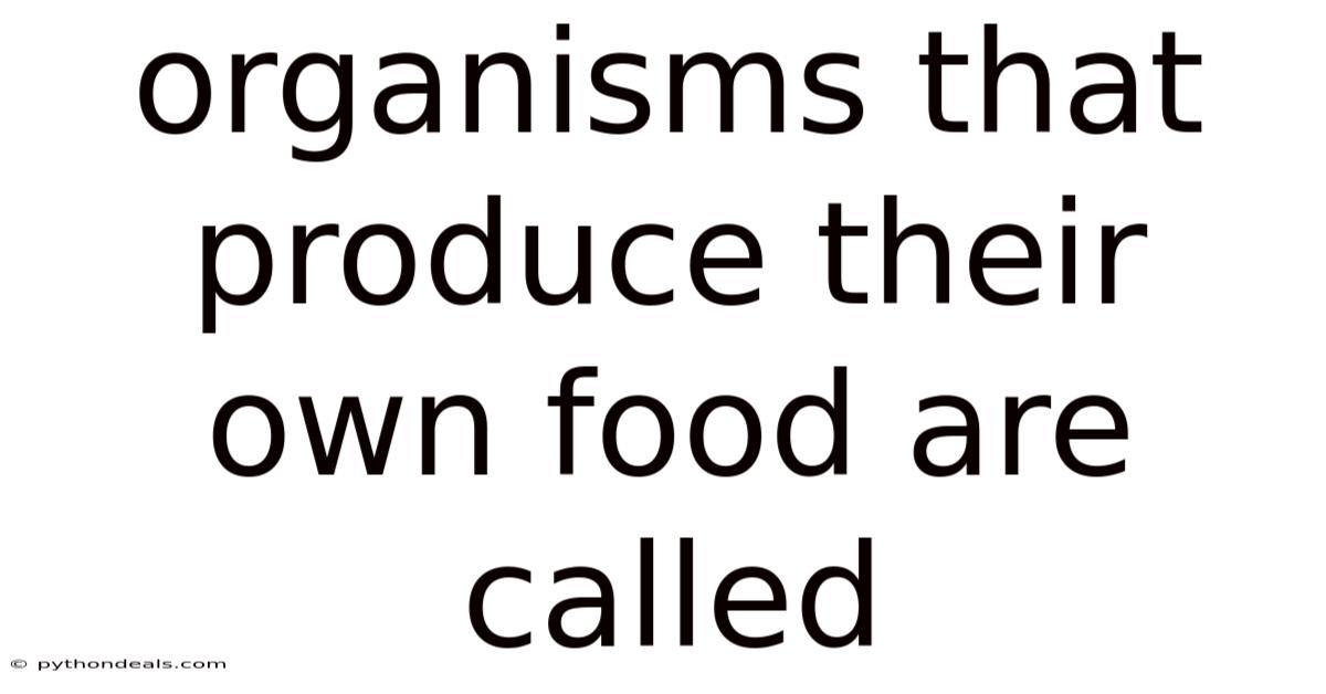 Organisms That Produce Their Own Food Are Called