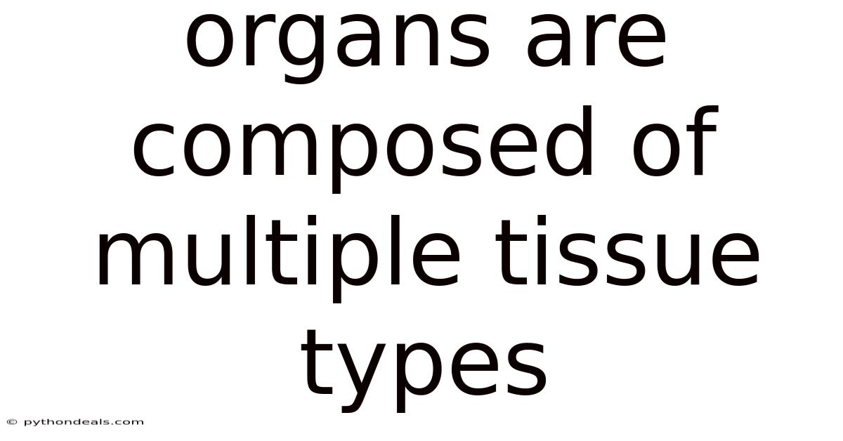 Organs Are Composed Of Multiple Tissue Types