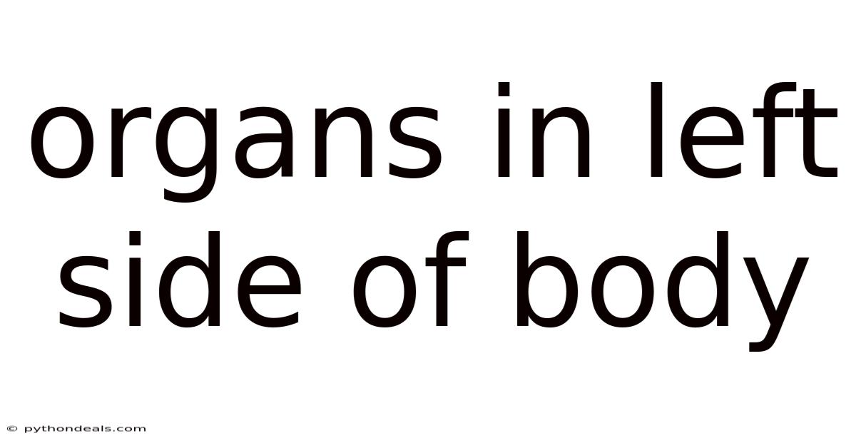 Organs In Left Side Of Body