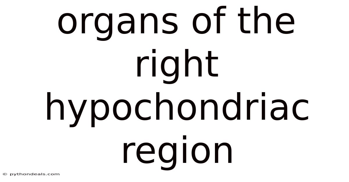 Organs Of The Right Hypochondriac Region