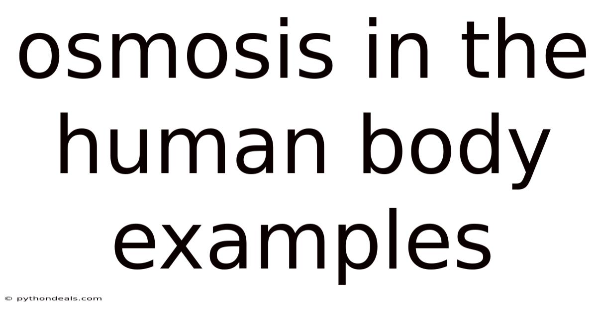 Osmosis In The Human Body Examples