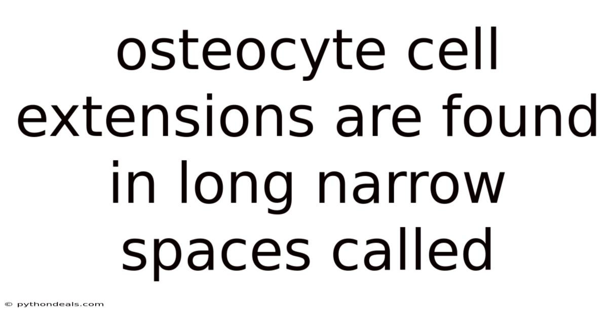 Osteocyte Cell Extensions Are Found In Long Narrow Spaces Called
