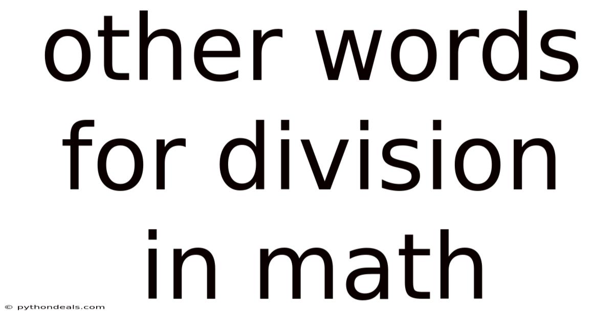 Other Words For Division In Math