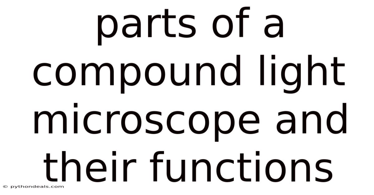 Parts Of A Compound Light Microscope And Their Functions