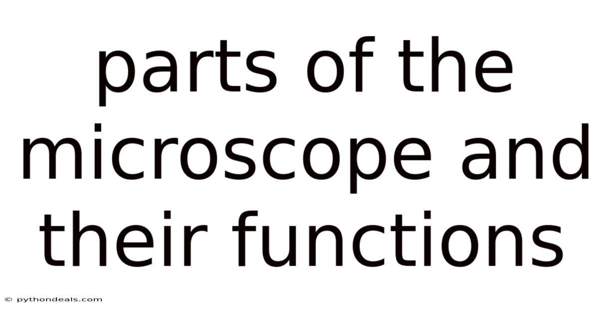 Parts Of The Microscope And Their Functions
