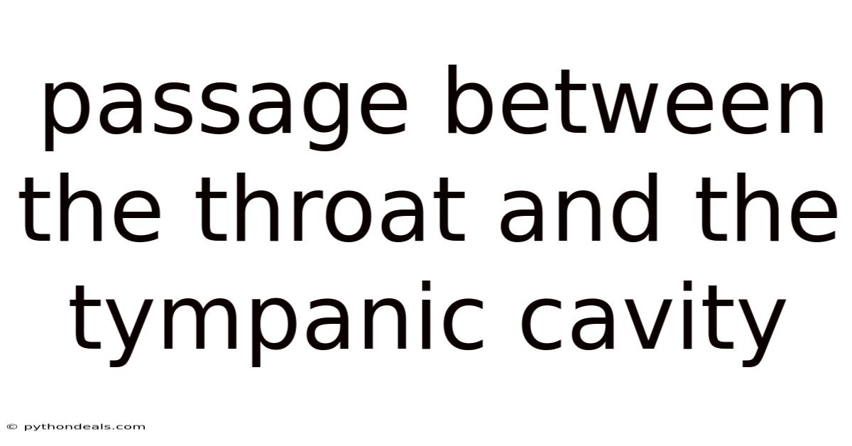 Passage Between The Throat And The Tympanic Cavity