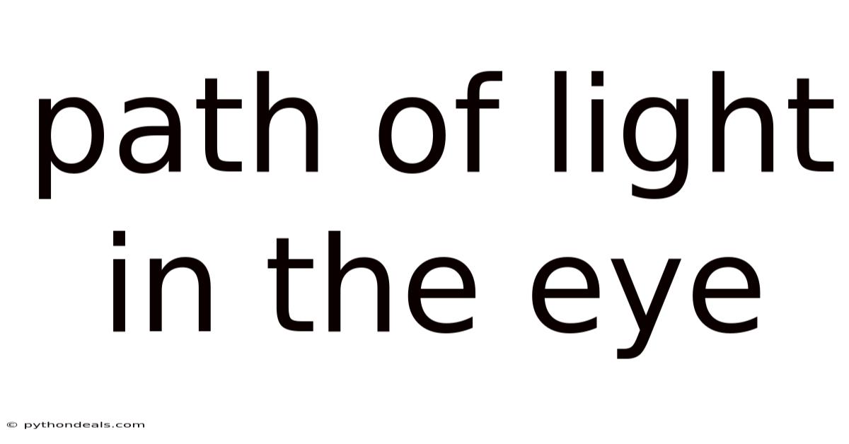 Path Of Light In The Eye