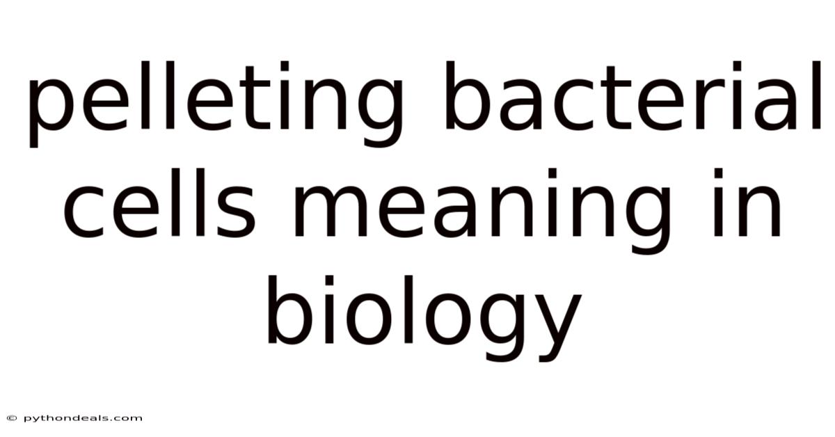 Pelleting Bacterial Cells Meaning In Biology