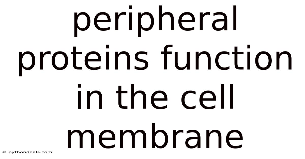 Peripheral Proteins Function In The Cell Membrane