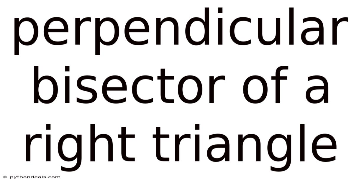 Perpendicular Bisector Of A Right Triangle