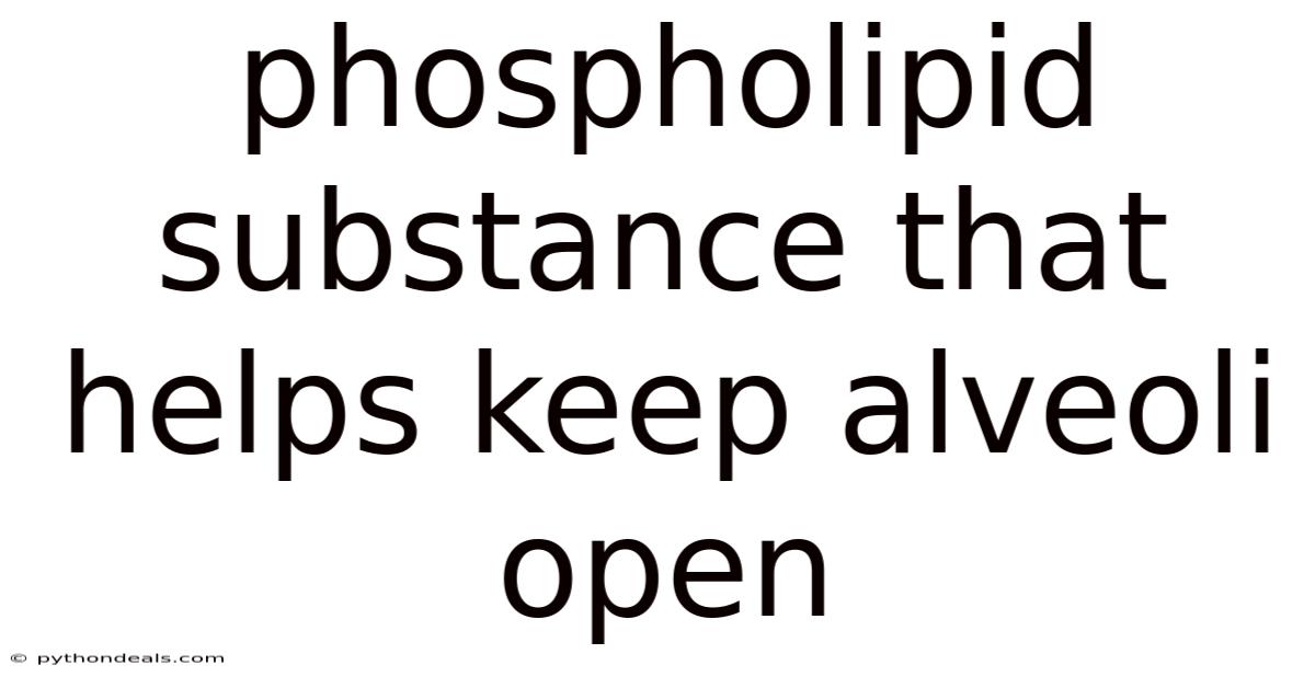 Phospholipid Substance That Helps Keep Alveoli Open