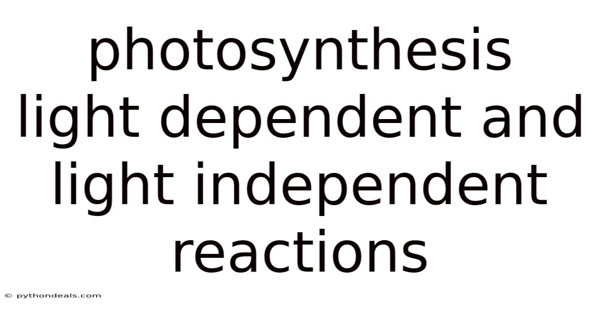 Photosynthesis Light Dependent And Light Independent Reactions
