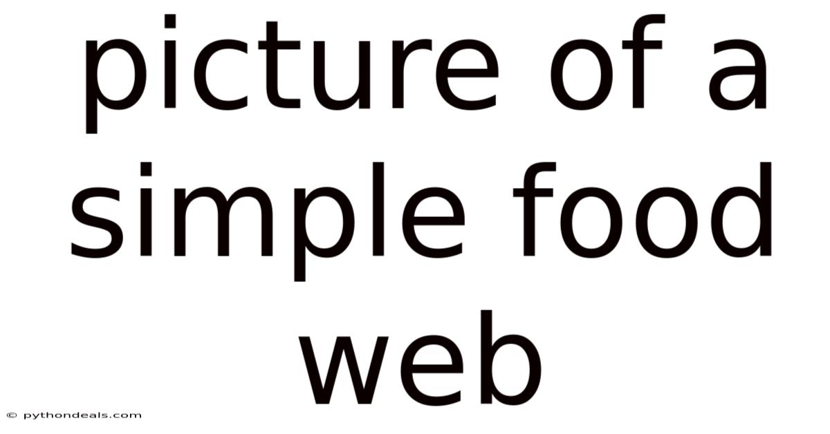 Picture Of A Simple Food Web