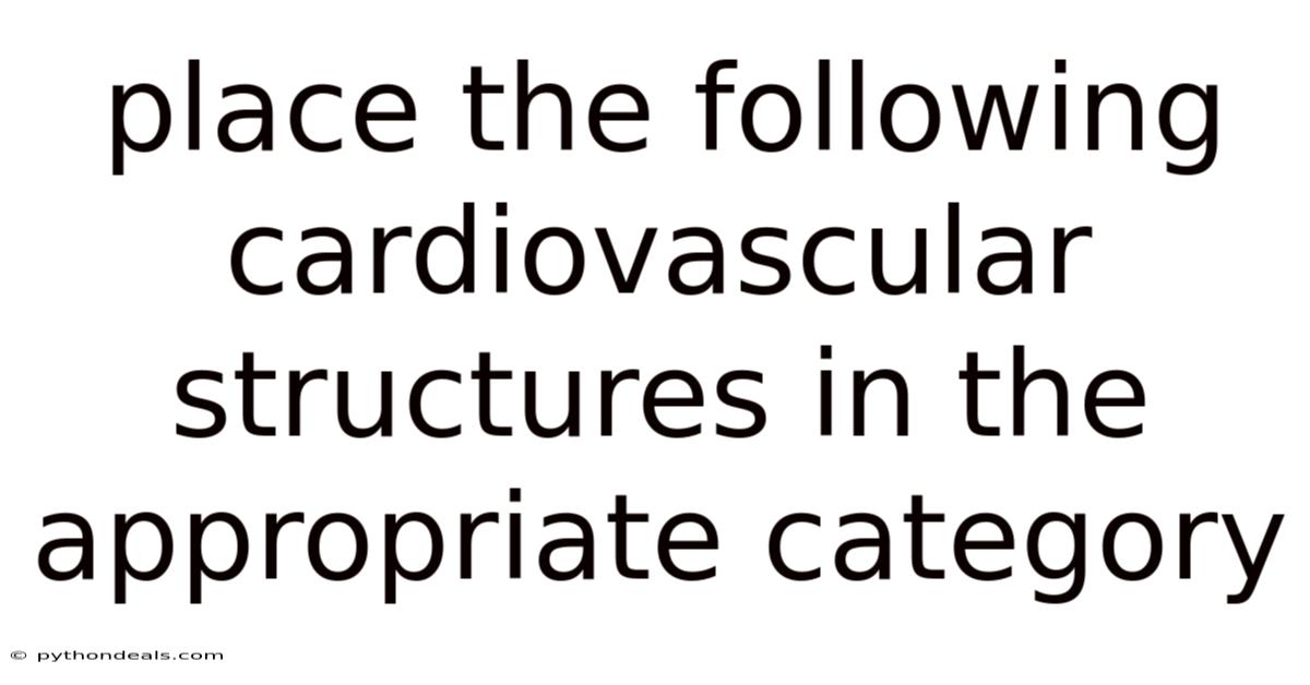 Place The Following Cardiovascular Structures In The Appropriate Category