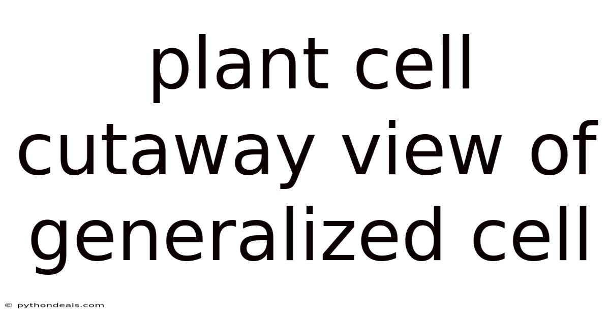 Plant Cell Cutaway View Of Generalized Cell