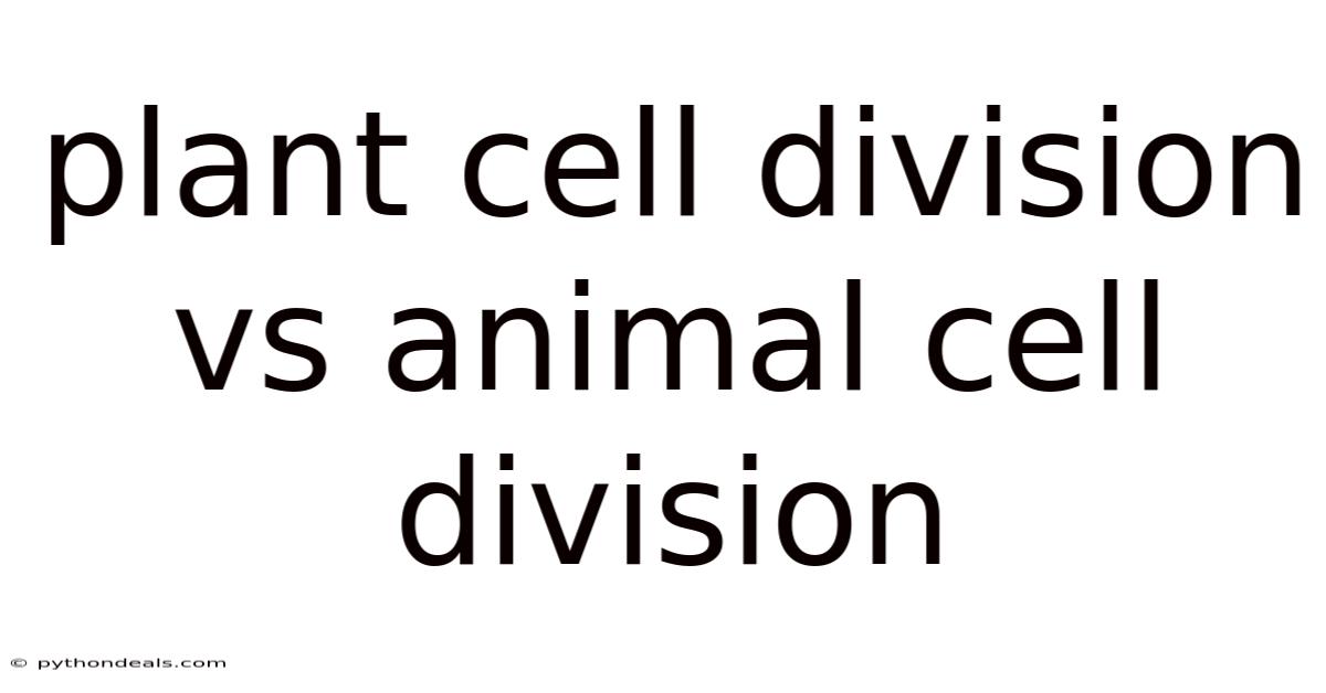 Plant Cell Division Vs Animal Cell Division