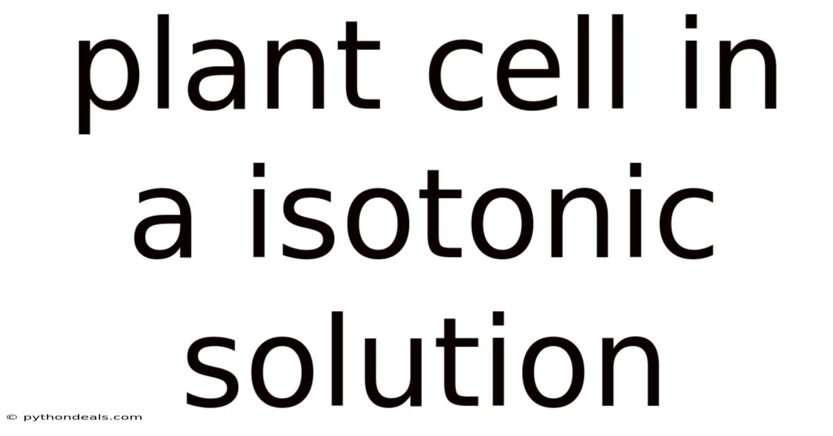 Plant Cell In A Isotonic Solution