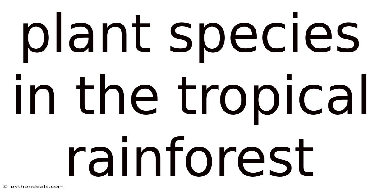 Plant Species In The Tropical Rainforest