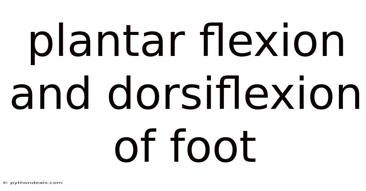Plantar Flexion And Dorsiflexion Of Foot