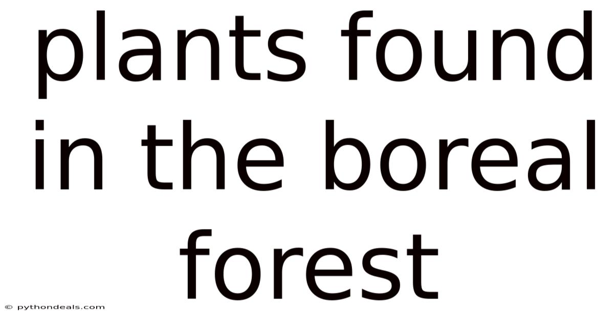 Plants Found In The Boreal Forest