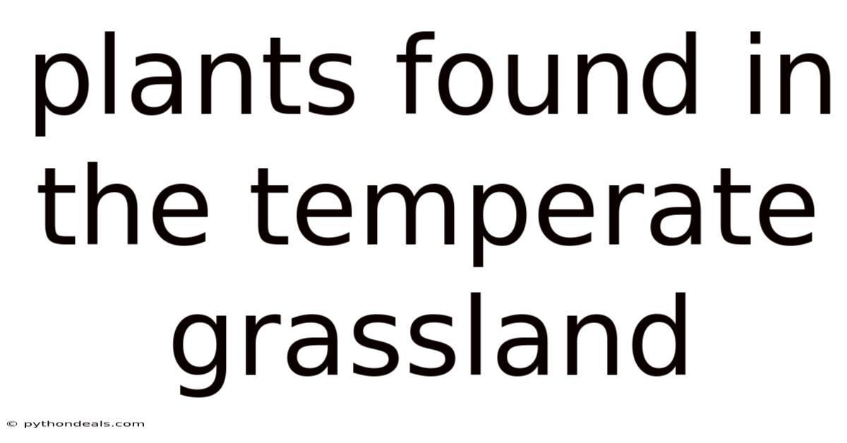 Plants Found In The Temperate Grassland