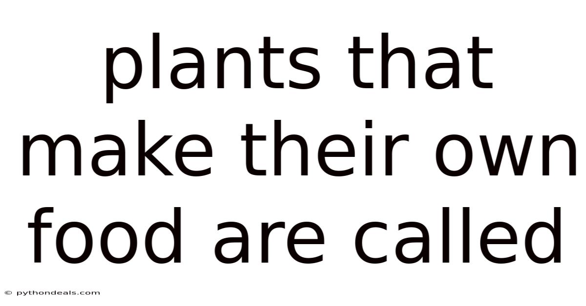 Plants That Make Their Own Food Are Called