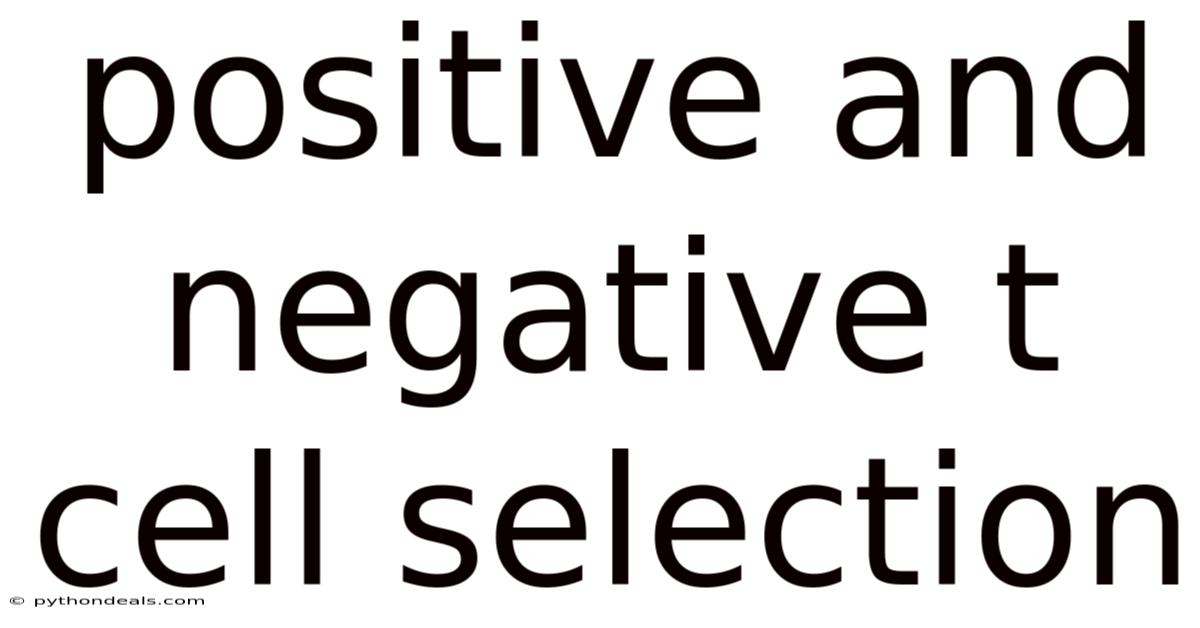 Positive And Negative T Cell Selection