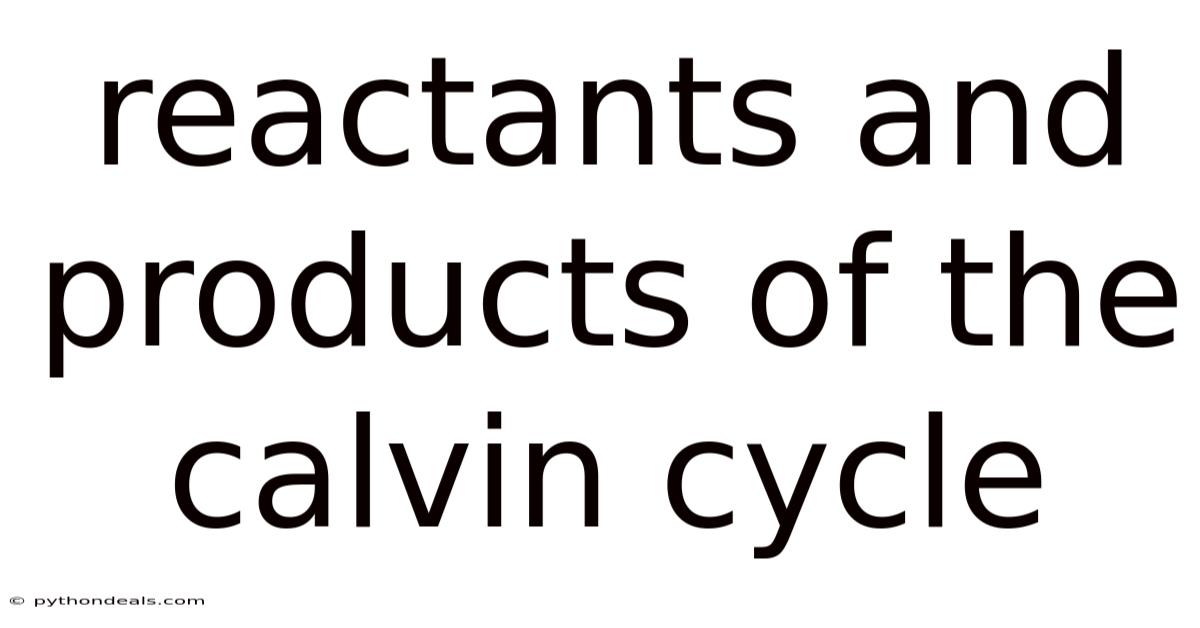 Reactants And Products Of The Calvin Cycle