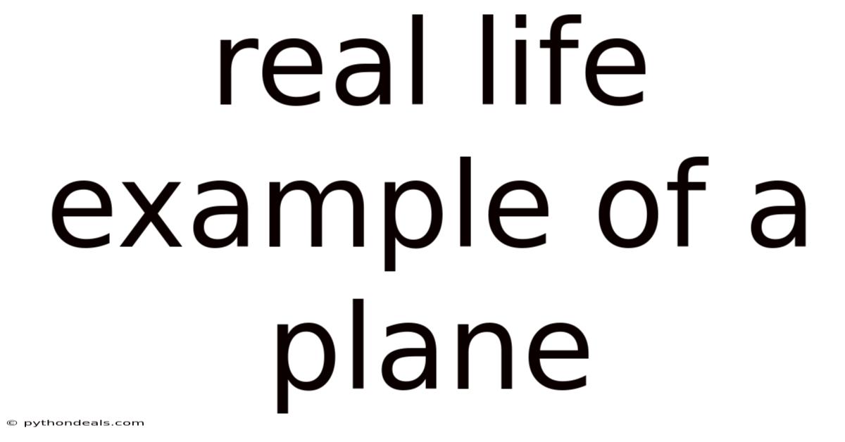 Real Life Example Of A Plane